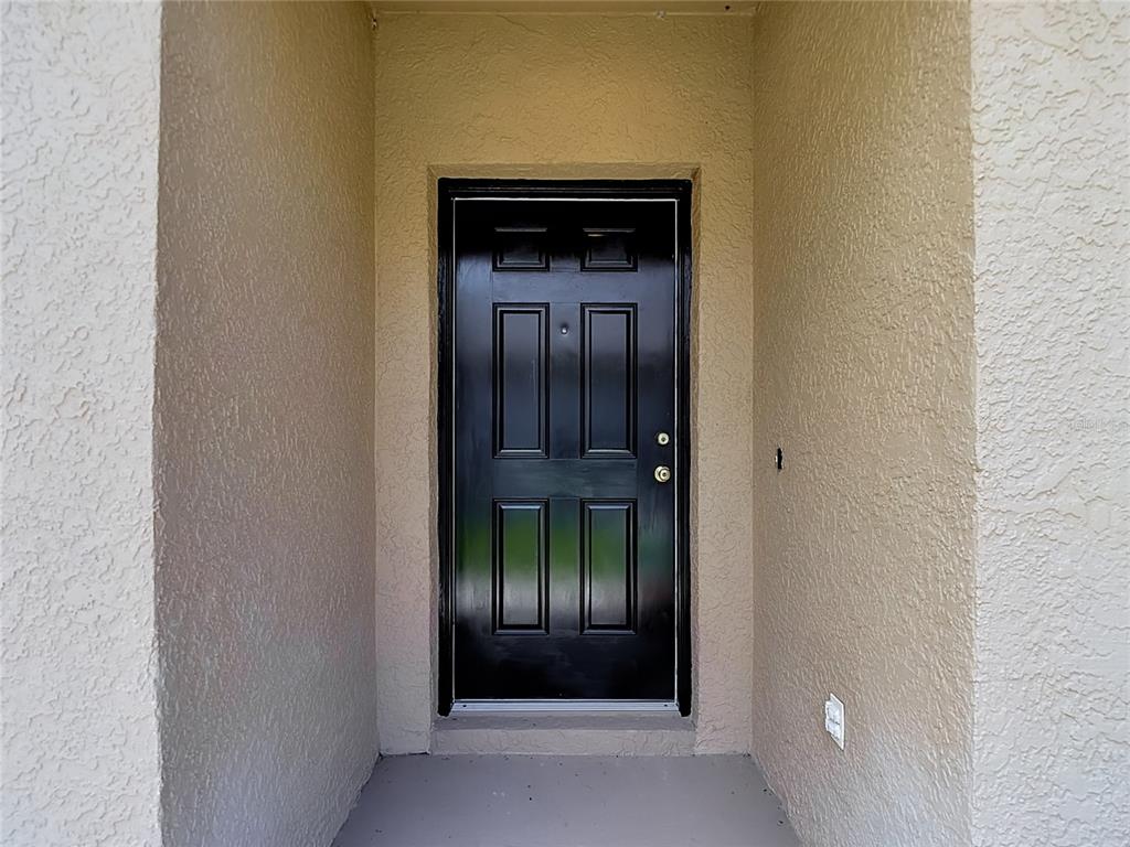 A black front door is set within a recessed entryway with beige stucco walls — 24443 SUMMER WIND CT, LUTZ, FL