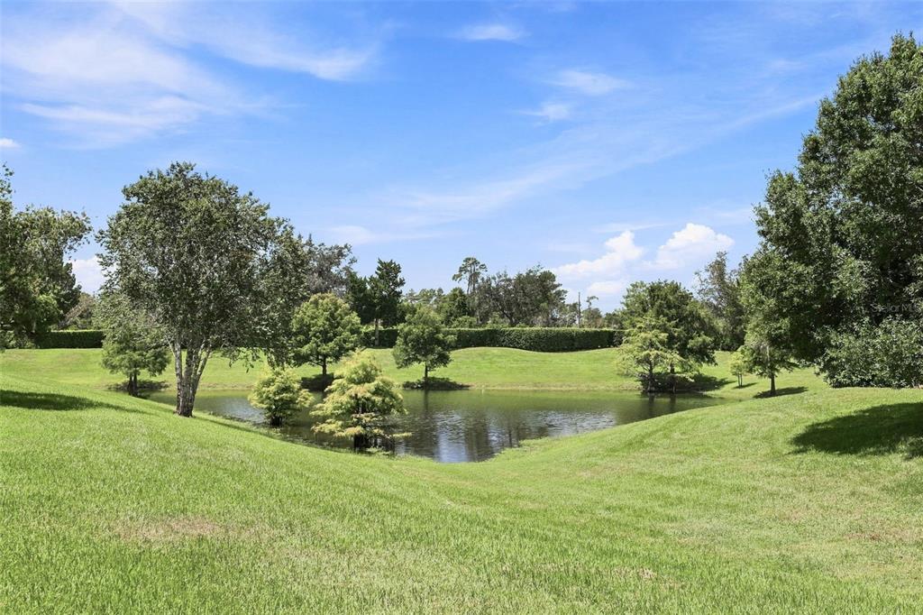 A grassy lawn slopes down toward a small pond surrounded by trees and a hedge — 437 SOTHEBY WAY, DEBARY, FL