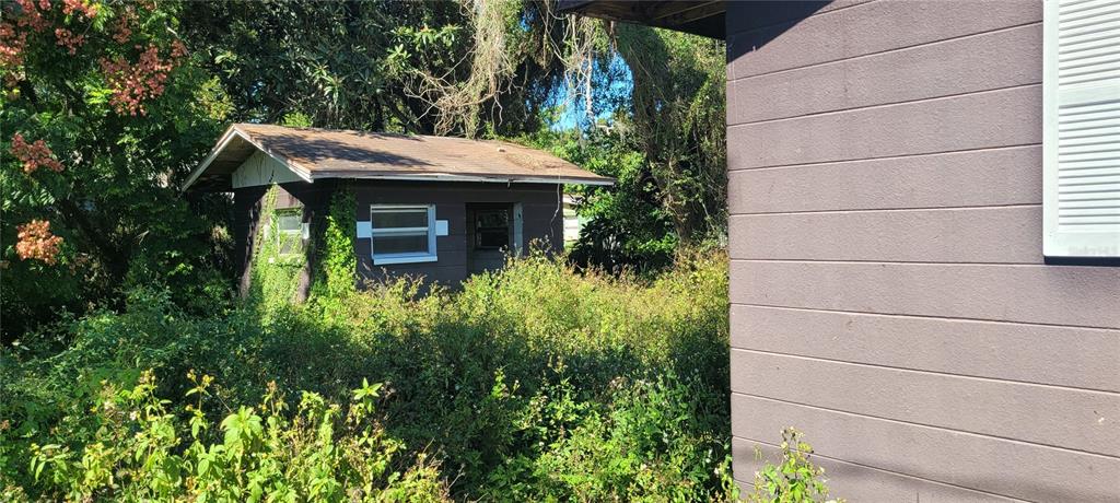A small, dark-colored shed sits in a yard overgrown with tall weeds and vegetation — 5451 LILY ROAD, LAKELAND, FL