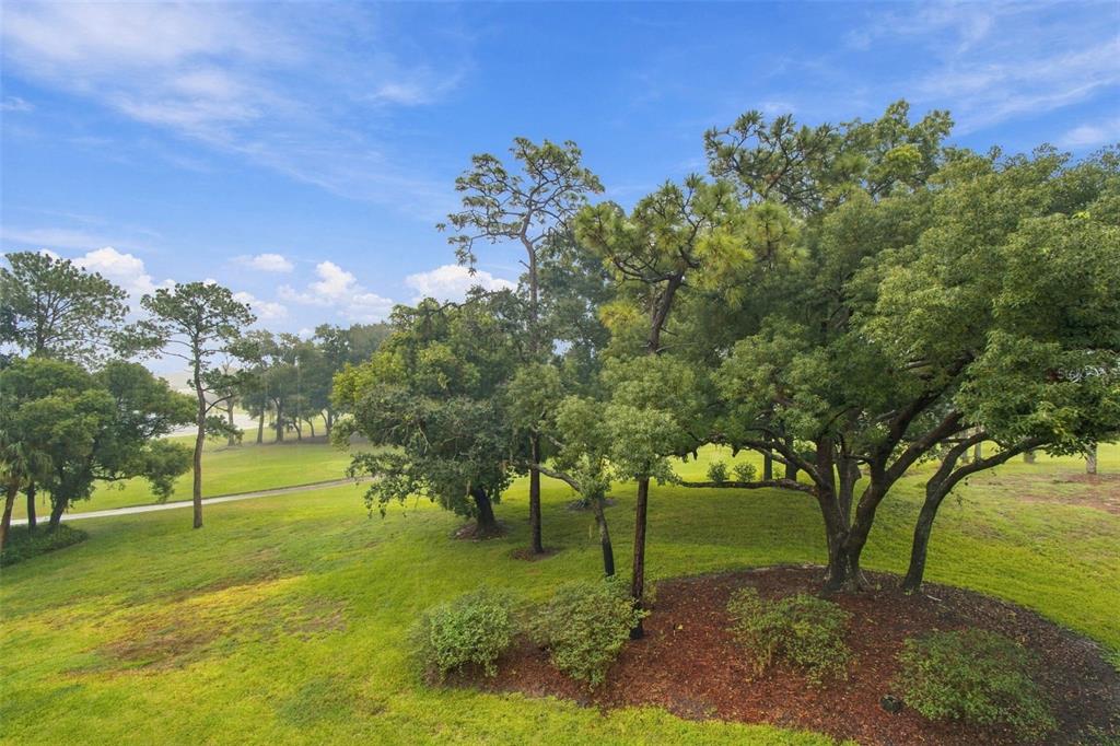 36750 US HIGHWAY 19 UNIT 23308, PALM HARBOR, FL — photo 3 of 30
