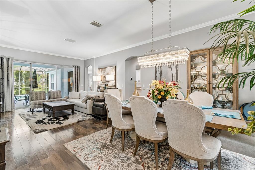 A dining room features a rectangular wooden table, upholstered chairs, and a crystal chandelier — 2005 WEXFORD GREEN DRIVE, VALRICO, FL