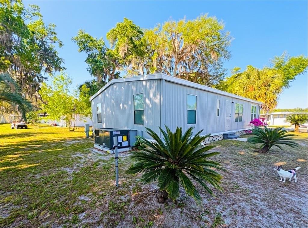 A light gray mobile home sits on a grassy lot with palm trees and a dog — 108 N TIMBER TRAIL, WILDWOOD, FL