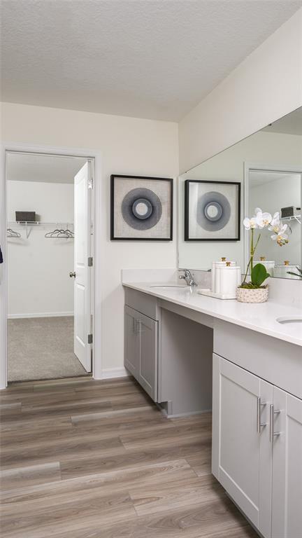 A bathroom with a double vanity, gray cabinets, light countertops, and an open walk-in closet — 9255 ORCHARD PARK LANE, DADE CITY, FL