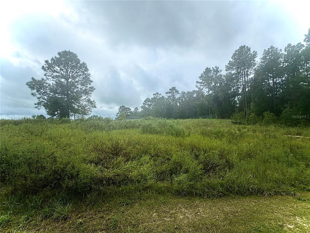 TBD SW 152 COURT, OCALA, FL — photo 2 of 2
