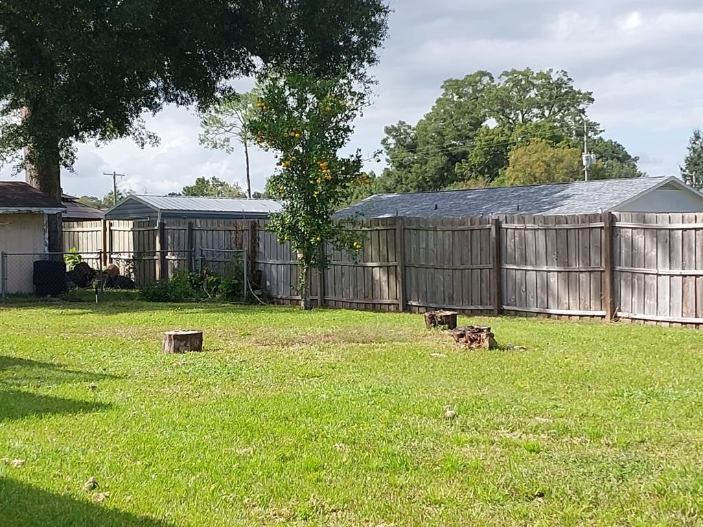 A grassy backyard features a wooden fence, a fruit tree, and two tree stumps — 4901 NE 7TH STREET, OCALA, FL
