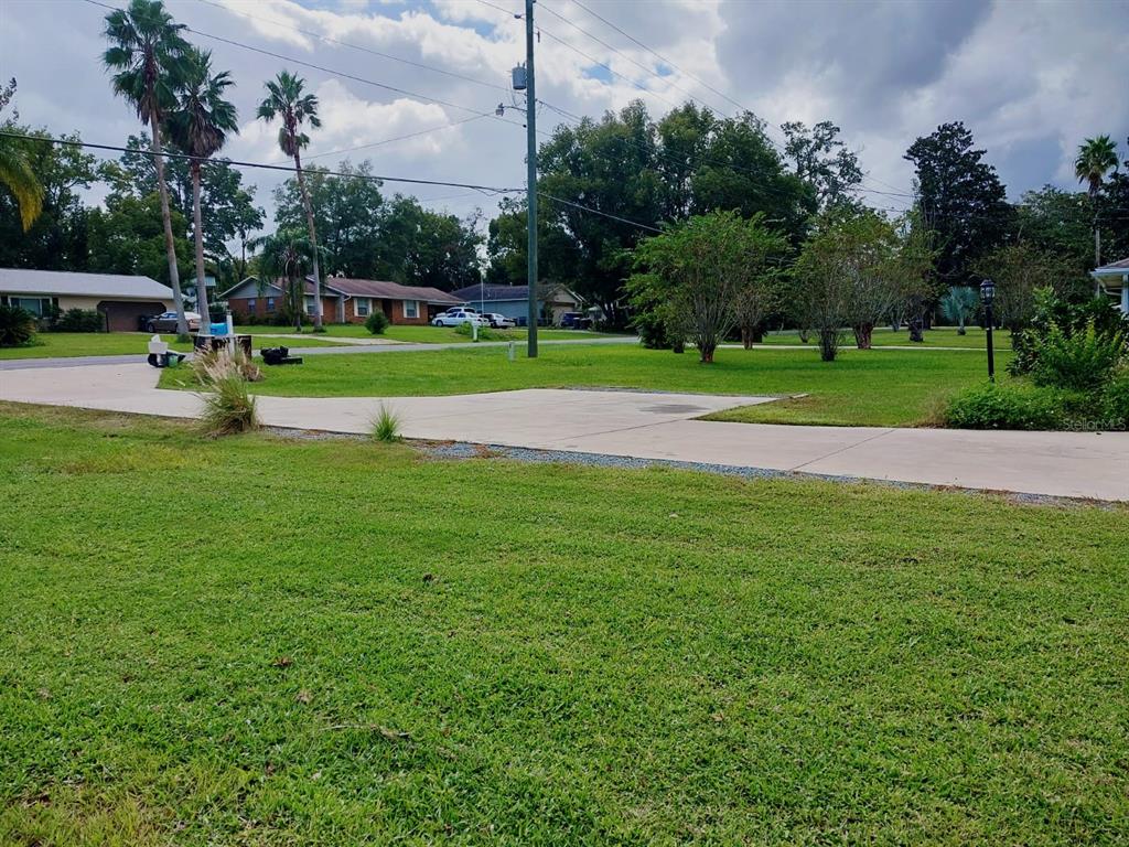 A wide concrete driveway leads to a grassy yard with palm trees and neighboring houses — 4901 NE 7TH STREET, OCALA, FL