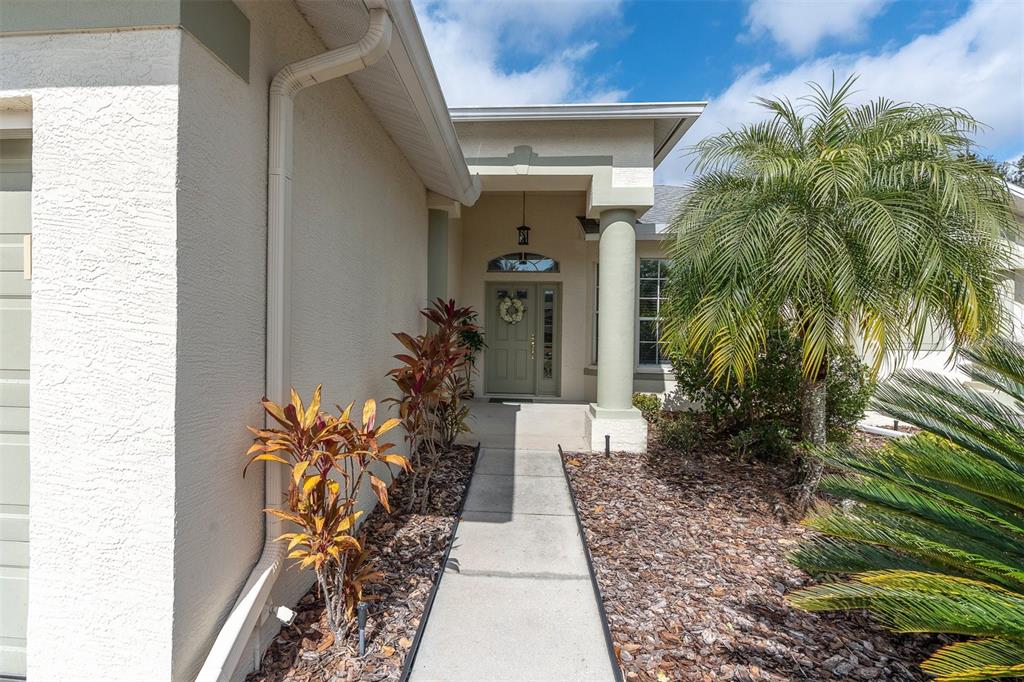 A concrete walkway leads to the front entrance of a house with a palm tree — 11429 HIDDEN COVE CT., TRINITY, FL