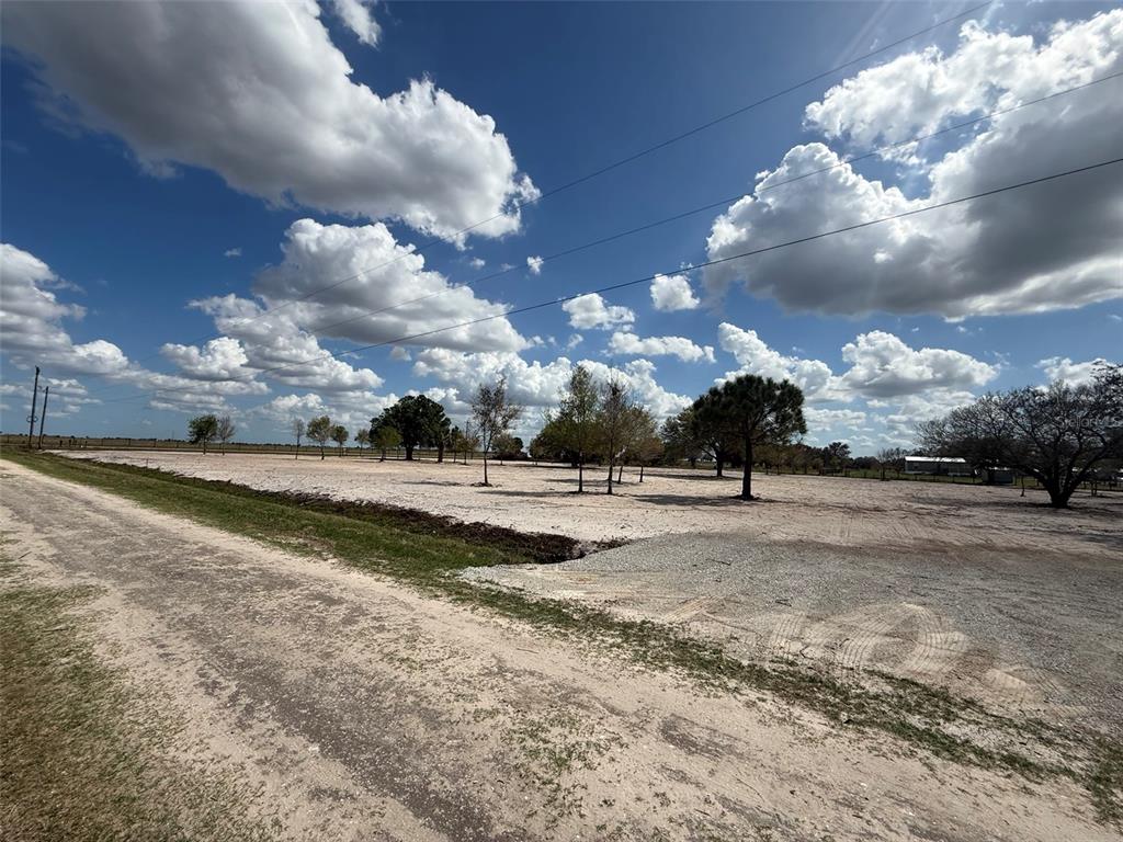 A wide, sandy, cleared lot features scattered trees under a bright, cloudy blue sky — 14416 NW 252ND STREET, OKEECHOBEE, FL
