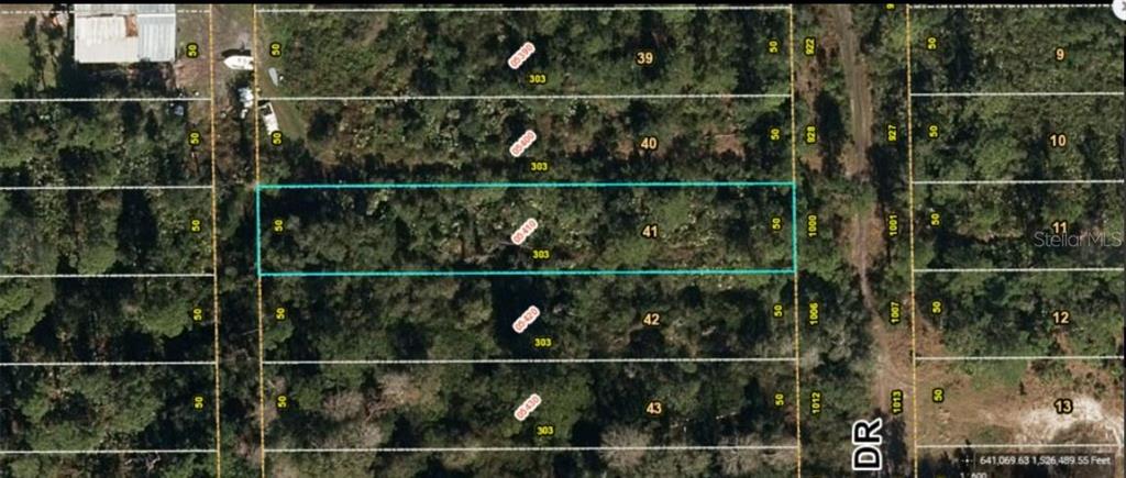 This is a satellite map view showing a highlighted rectangular parcel of land — 1000 GREENBRIAR DRIVE, CHRISTMAS, FL