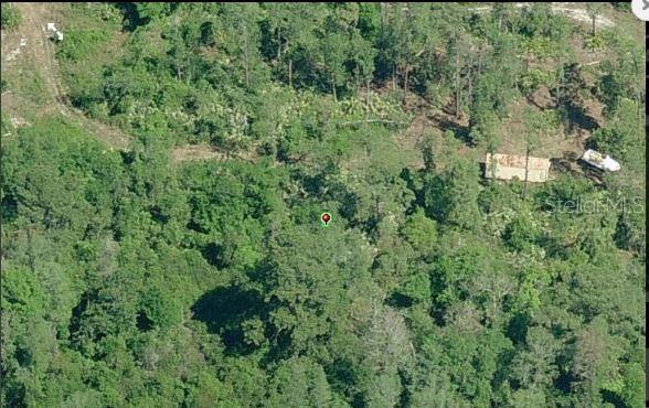 An aerial view shows a small structure and a vehicle situated within a wooded lot — 1000 GREENBRIAR DRIVE, CHRISTMAS, FL