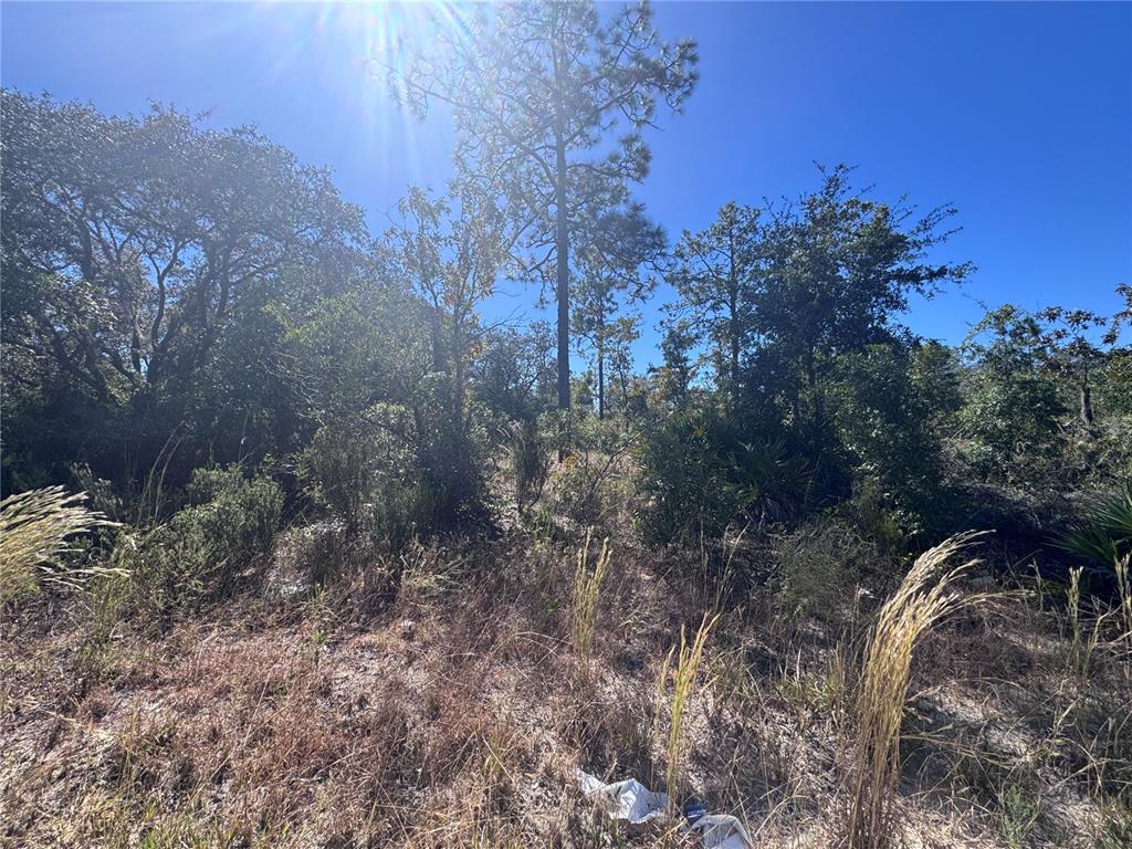TBD NE 64TH STREET, WILLISTON, FL — photo 2 of 7