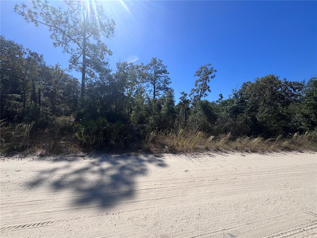 TBD NE 64TH STREET, WILLISTON, FL — photo 3 of 7