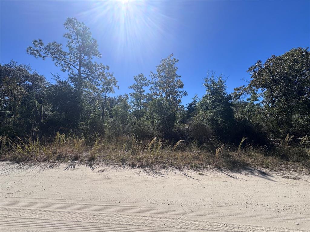 TBD NE 64TH STREET, WILLISTON, FL — photo 4 of 7