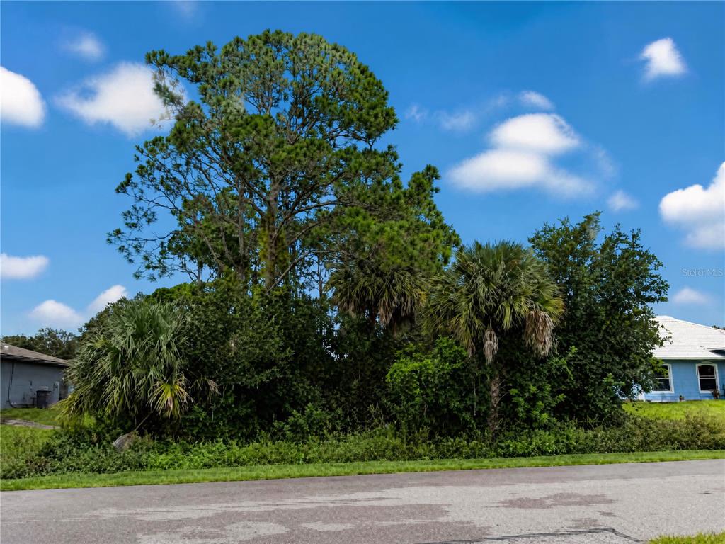 225 CATALONIA AVENUE NW, PALM BAY, FL — photo 2 of 4