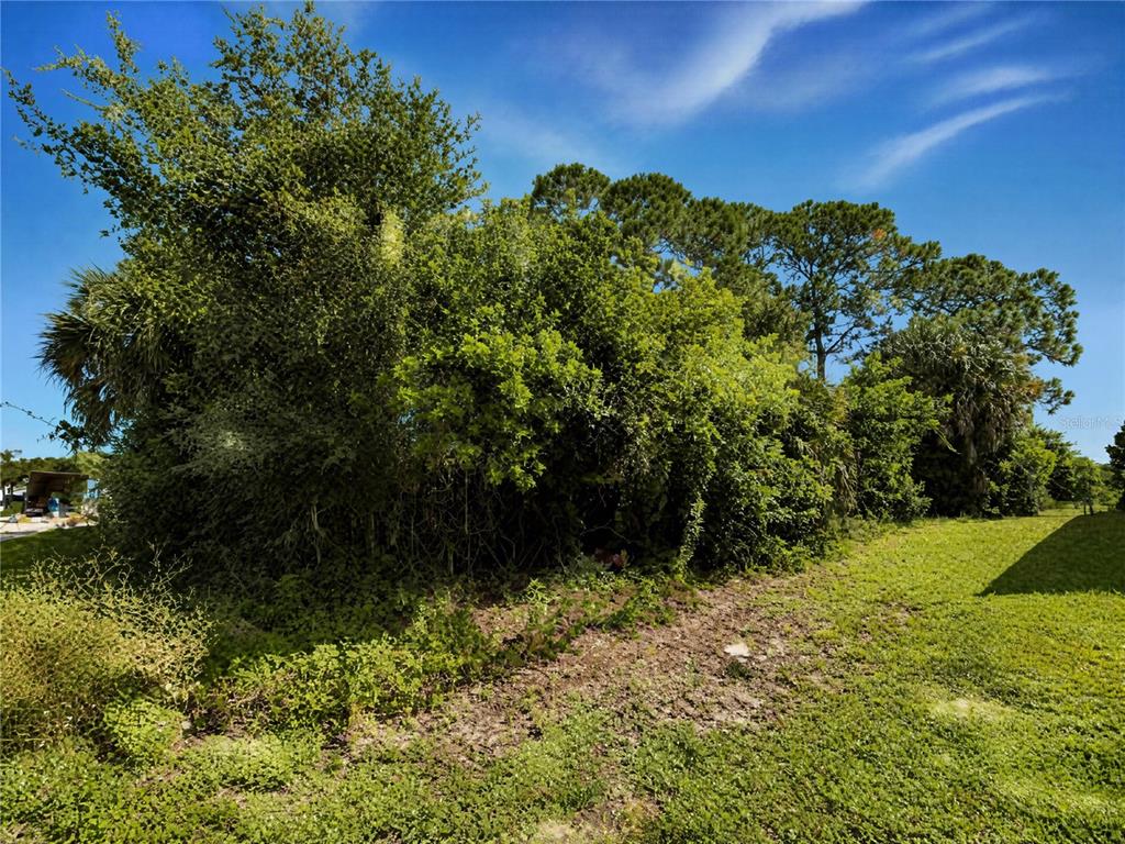 225 CATALONIA AVENUE NW, PALM BAY, FL — photo 3 of 4