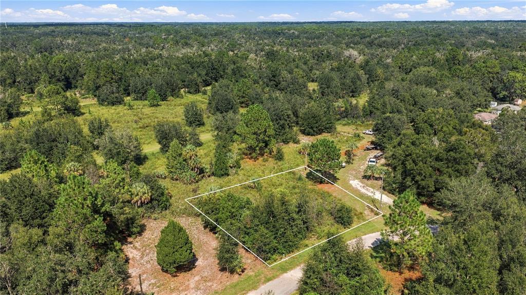 8751 N CATAPANE LOOP, CRYSTAL RIVER, FL — photo 2 of 6