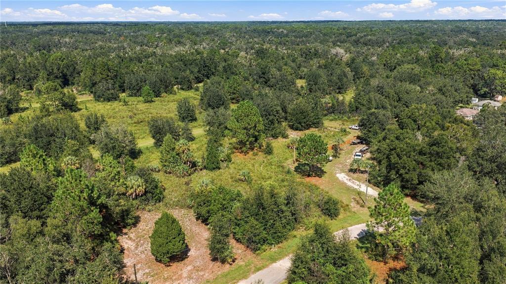 8751 N CATAPANE LOOP, CRYSTAL RIVER, FL — photo 3 of 6