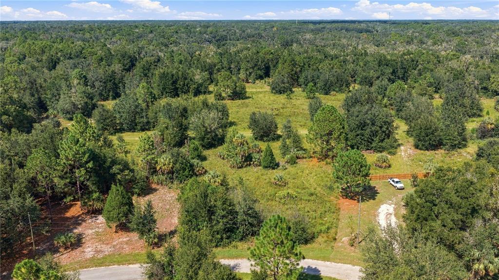 8751 N CATAPANE LOOP, CRYSTAL RIVER, FL — photo 4 of 6