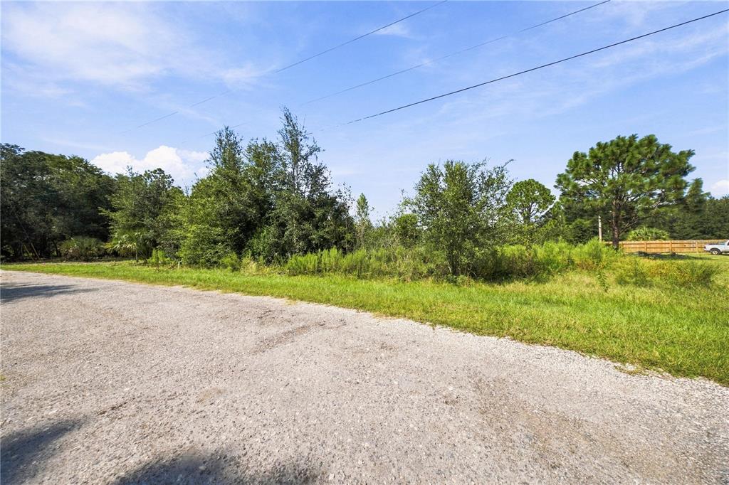 8751 N CATAPANE LOOP, CRYSTAL RIVER, FL — photo 5 of 6