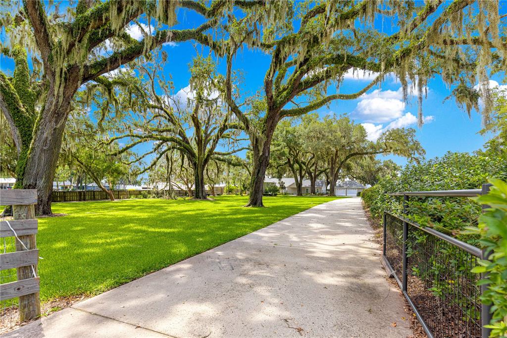A concrete driveway leads toward a house past large oak trees with hanging Spanish moss — 12360 E HIGHWAY 25, OCKLAWAHA, FL