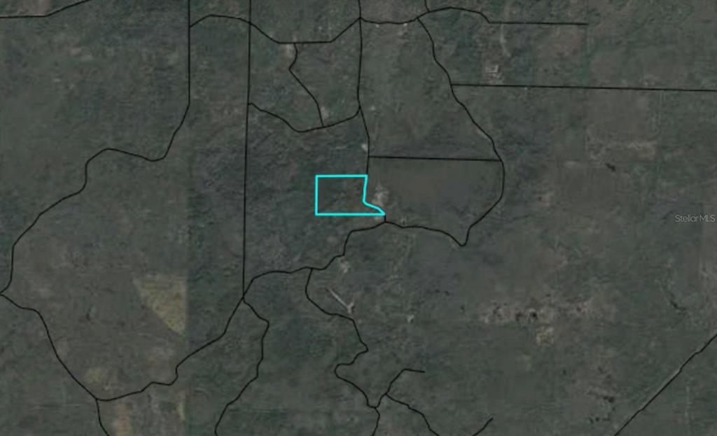 This is an aerial map showing a property parcel outlined in light blue — MAX ROAD, PERRY, FL