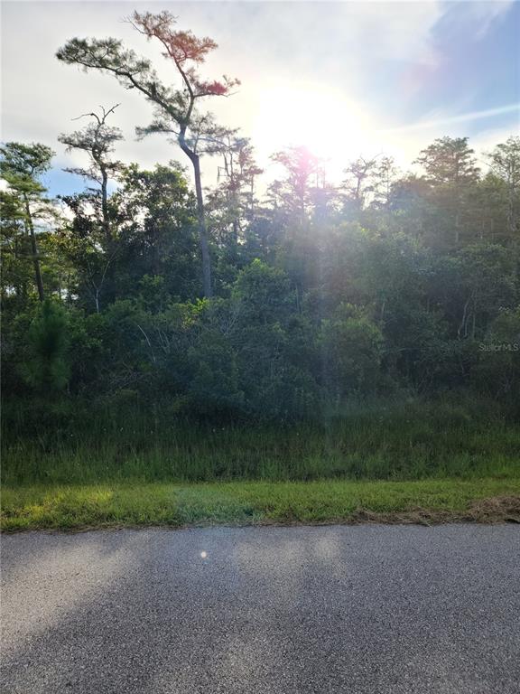 PIERRE AVENUE Lot 162