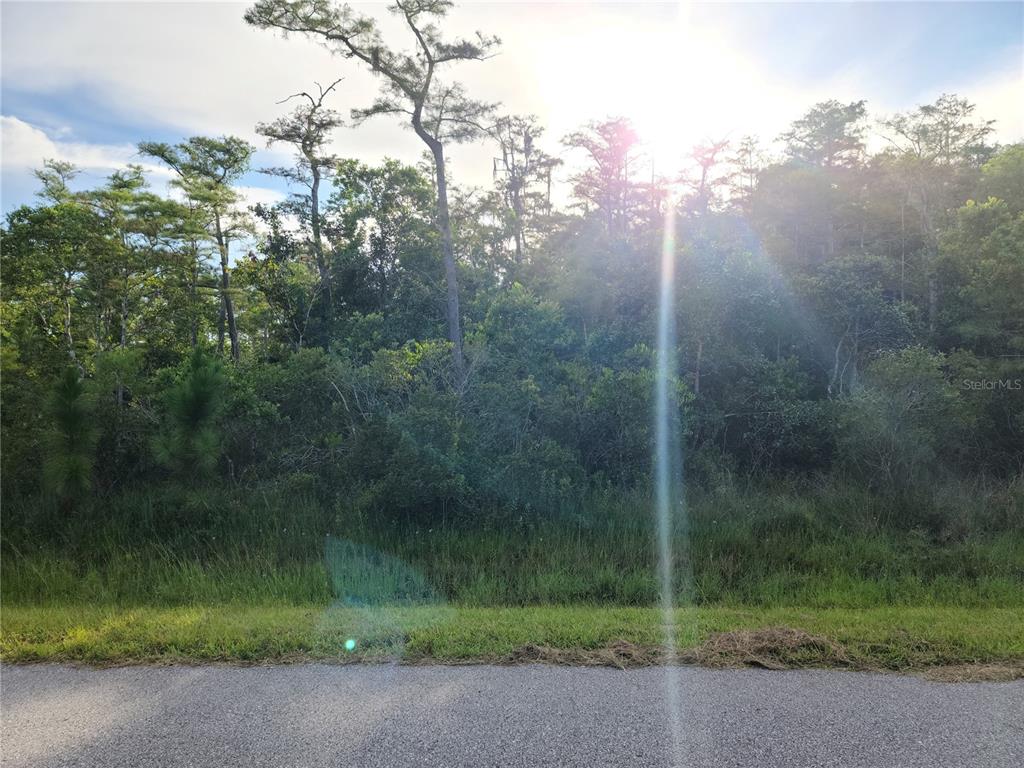 PIERRE AVENUE Lot 162, ST CLOUD, FL — photo 2 of 9