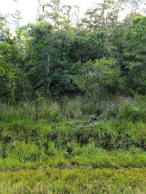 PIERRE AVENUE Lot 162, ST CLOUD, FL — photo 3 of 9
