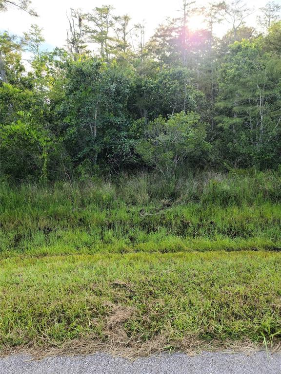 PIERRE AVENUE Lot 162, ST CLOUD, FL — photo 4 of 9