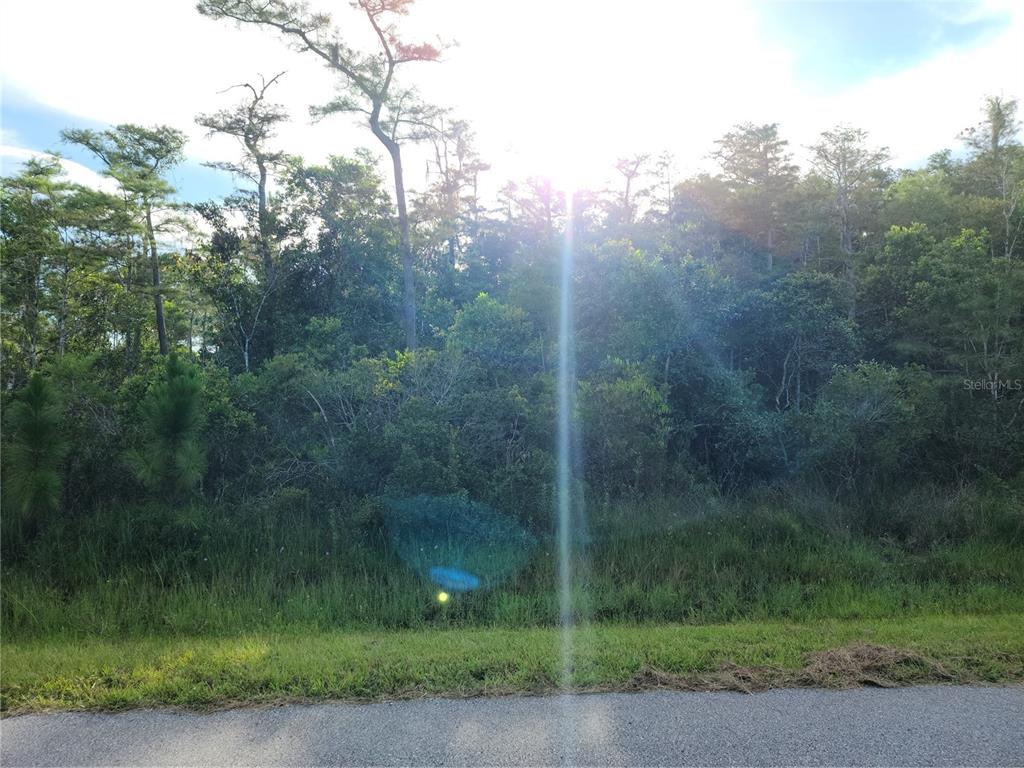 PIERRE AVENUE Lot 162, ST CLOUD, FL — photo 5 of 9