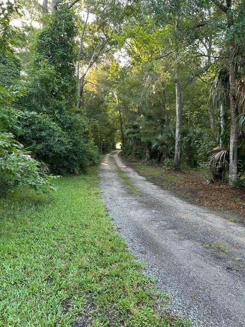 A gravel driveway leads through a wooded area with dense trees and green vegetation — HESTER, SANFORD, FL