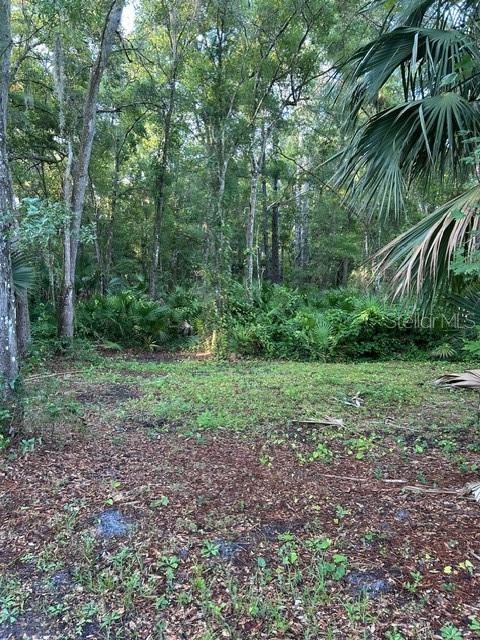 A wooded lot with a cleared foreground and dense forest in the background — HESTER, SANFORD, FL