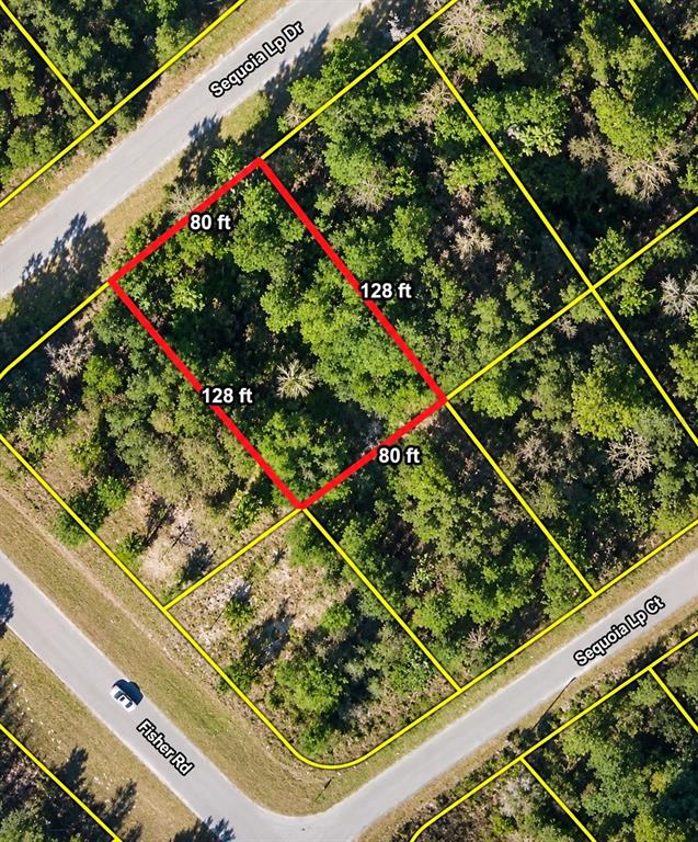 Lot 39 SE SEQUOIA LOOP DRIVE, OCKLAWAHA, FL — photo 2 of 2