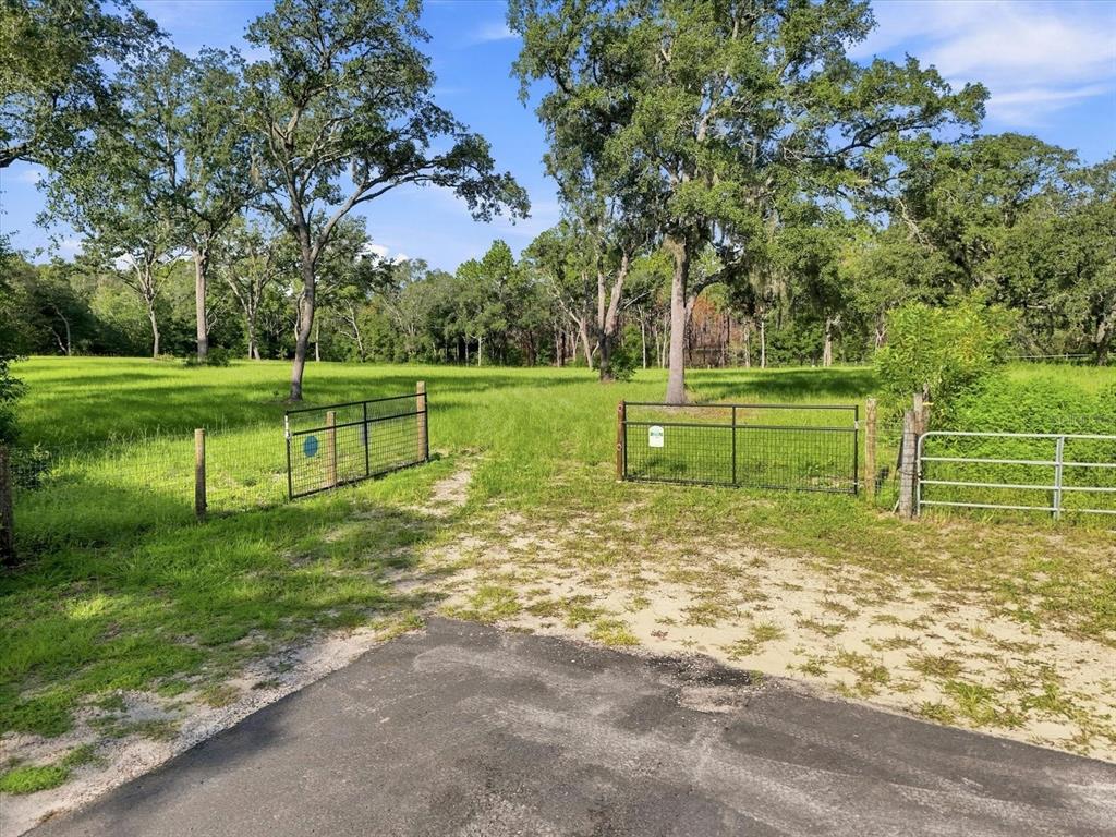 A wide, grassy field is surrounded by a line of mature trees under a blue sky — 2720 E FAWN COURT, INVERNESS, FL