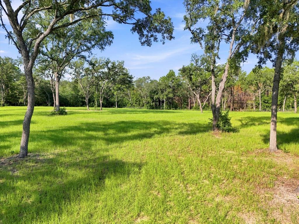 A large, grassy field is bordered by a dense forest of tall trees — 2720 E FAWN COURT, INVERNESS, FL