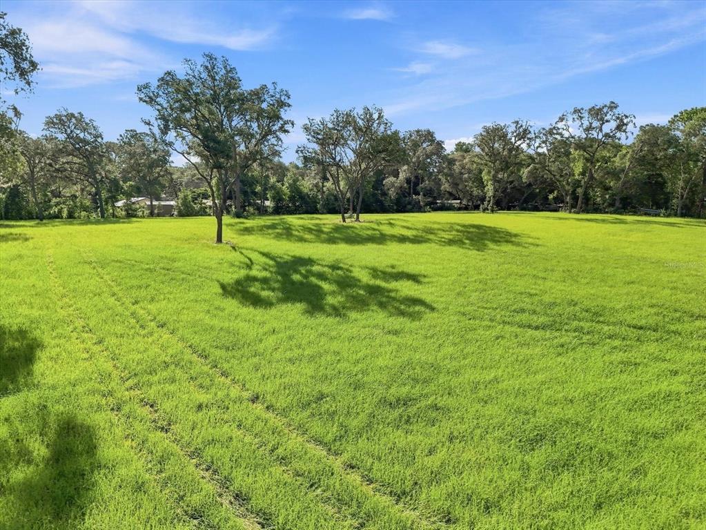 A metal gate stands in a wire fence bordering a large, grassy, tree-lined field — 2720 E FAWN COURT, INVERNESS, FL
