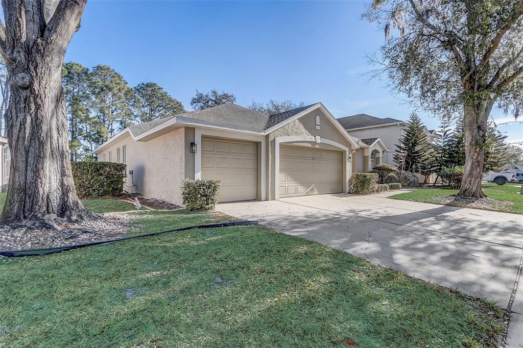 359 RANDON TERRACE