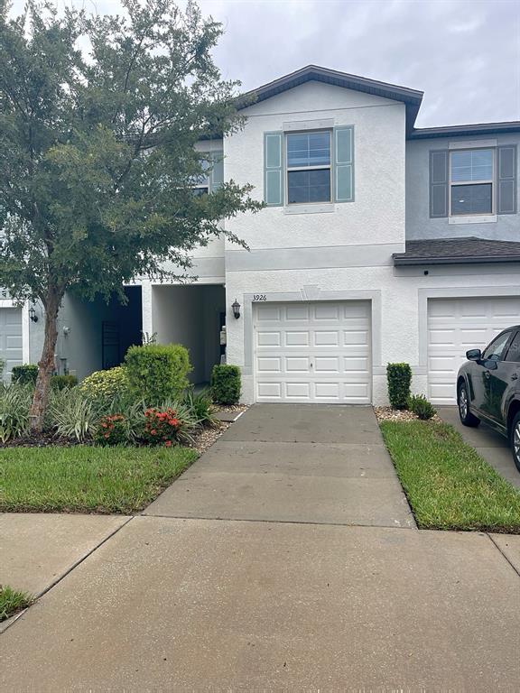3926 CAT MINT STREET