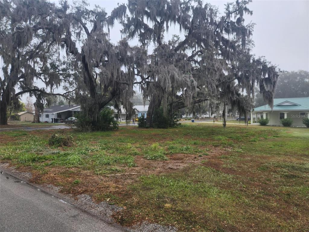 A vacant grassy lot features large oak trees draped in Spanish moss under a cloudy sky — 795 W VINE STREET, BARTOW, FL