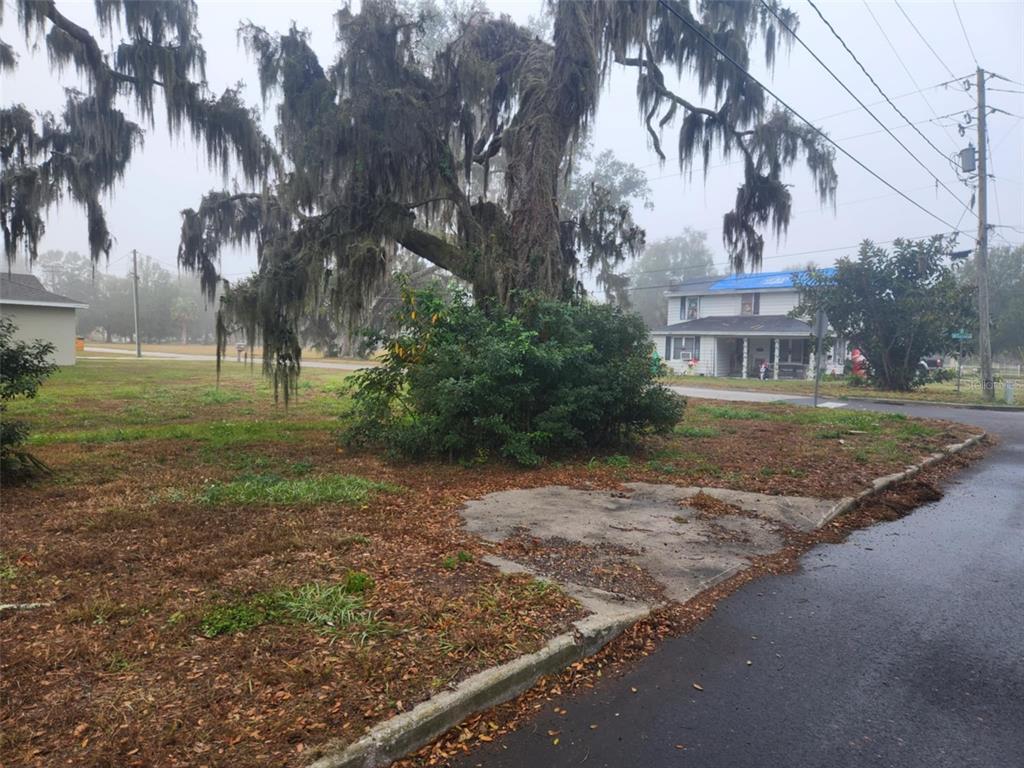 A large moss-covered tree stands on a grassy lot next to a two-story house — 795 W VINE STREET, BARTOW, FL