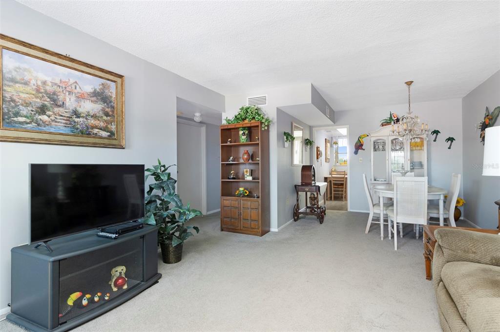 A living room and dining area with carpeted floors, a television console, and a hutch — 8101 11TH STREET N UNIT 319, ST PETERSBURG, FL