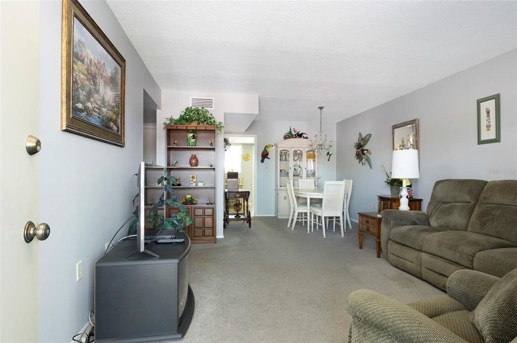 A living room features gray walls, carpeted floors, a brown sofa, and a dining area — 8101 11TH STREET N UNIT 319, ST PETERSBURG, FL