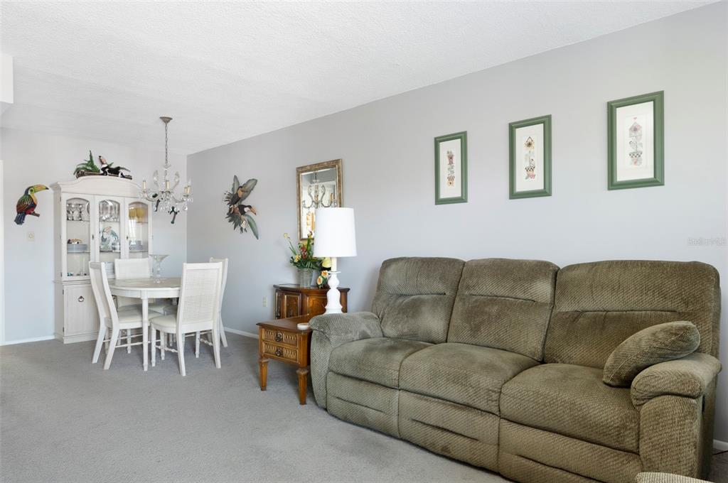 A living and dining area features a brown reclining sofa, white dining set, and carpet — 8101 11TH STREET N UNIT 319, ST PETERSBURG, FL