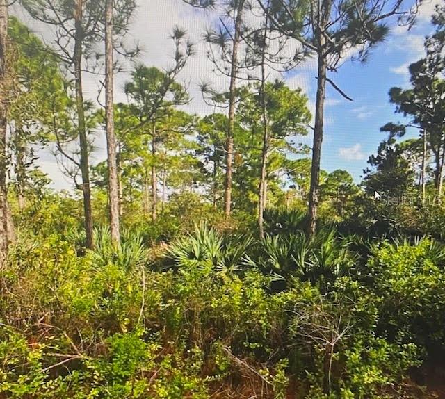 5550 TREE TOP TRAIL
