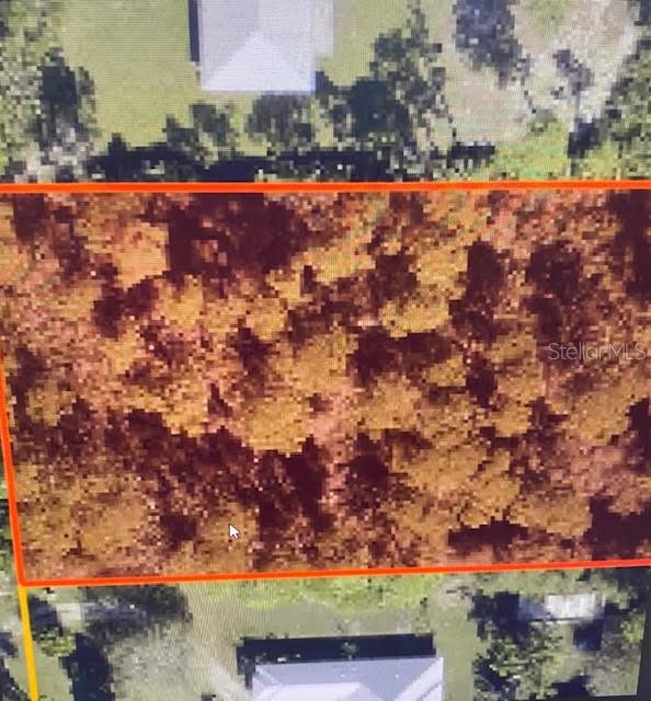 An aerial view shows a rectangular, wooded plot of land outlined in orange — 5550 TREE TOP TRAIL, FORT PIERCE, FL