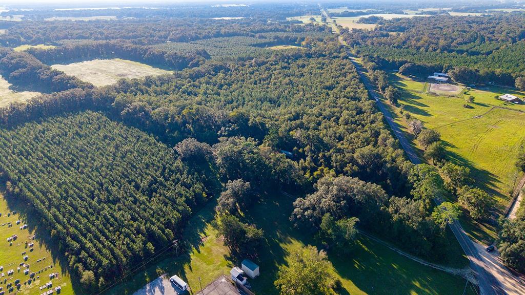 TBD 00 NW COUNTY ROAD 339, TRENTON, FL — photo 2 of 15