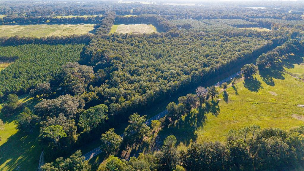TBD 00 NW COUNTY ROAD 339, TRENTON, FL — photo 3 of 15
