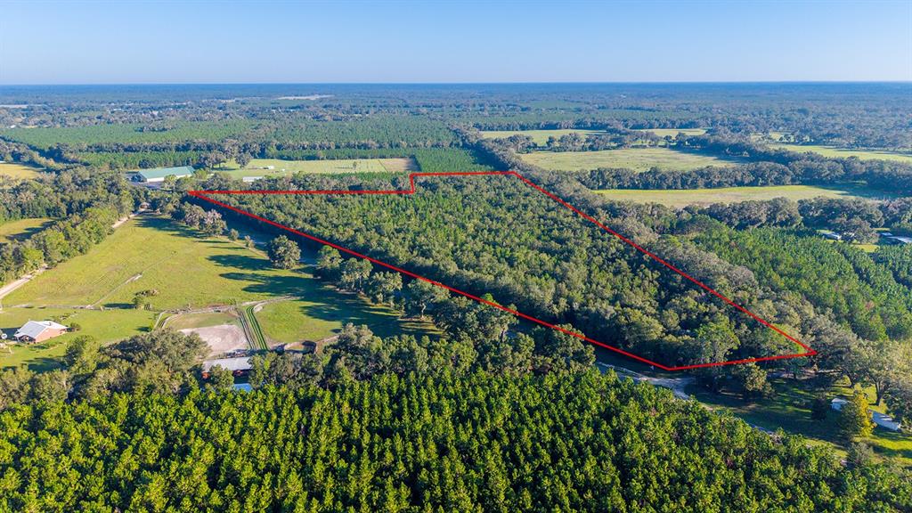 TBD 00 NW COUNTY ROAD 339, TRENTON, FL — photo 4 of 15