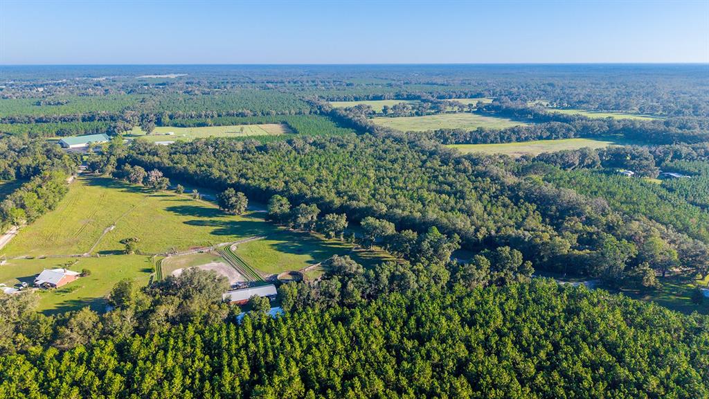 TBD 00 NW COUNTY ROAD 339, TRENTON, FL — photo 5 of 15