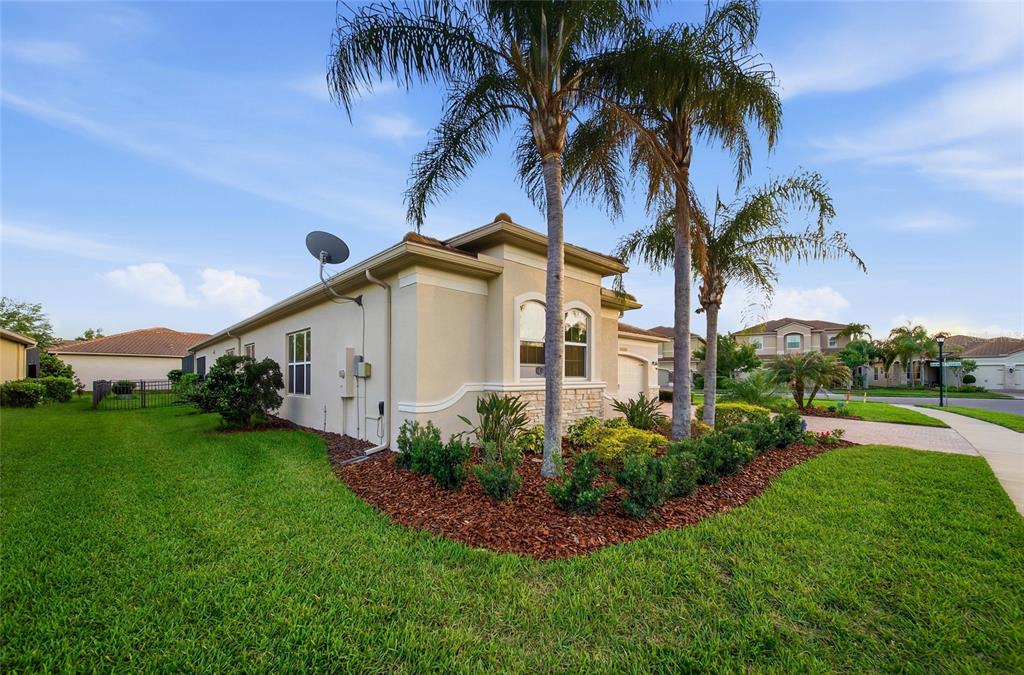 A side view of a tan stucco house with palm trees and landscaped garden beds — 2420 COCO PALM CIRCLE, WESLEY CHAPEL, FL